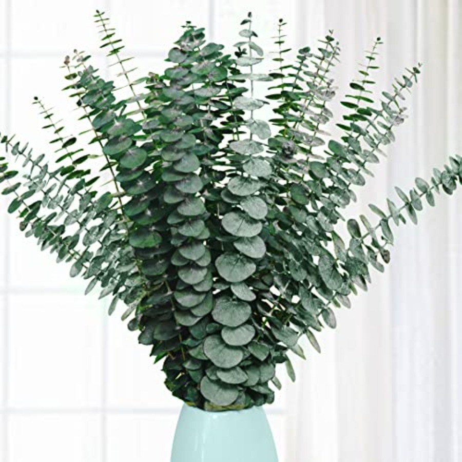 Eucalyptus Preserved - 20 Peças de Hastes de Eucalipto