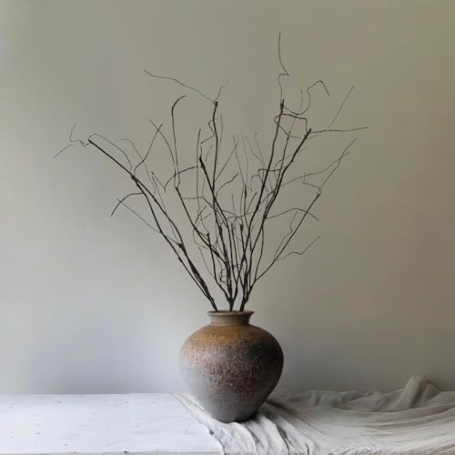 Galhos de Salgueiro Encaracola - Branch Curly Willow avaliação e preço