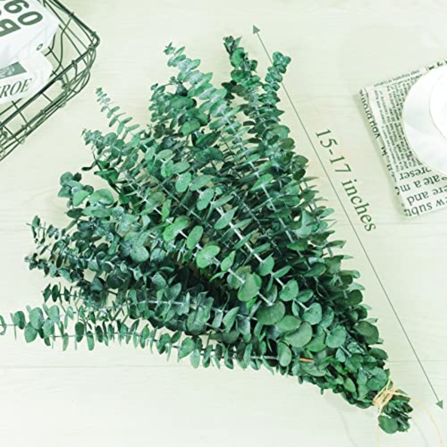 20 Peças de Hastes de Eucalipt - Eucalyptus Preserved avaliação e preço