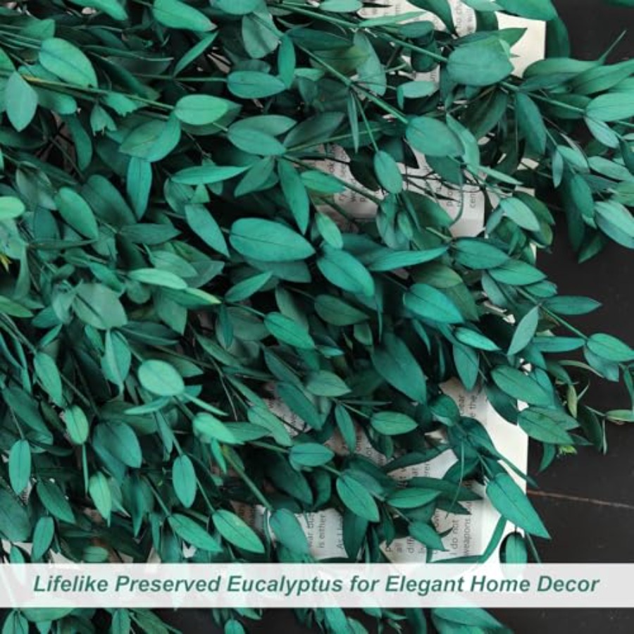 Folhas de Eucalipto Secas Pres - Eucalyptus Preserved avaliação e preço