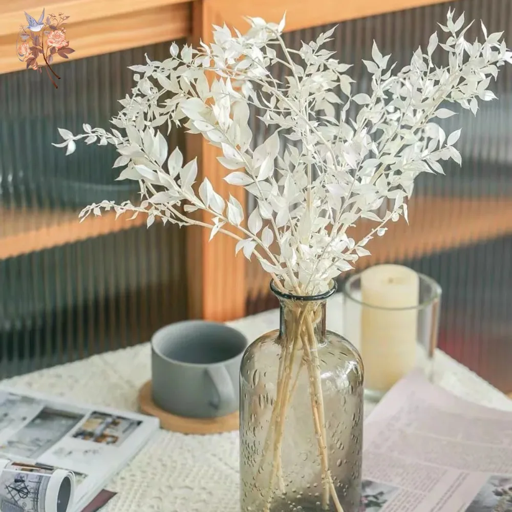 Buquê de Folhas de Eucalipto R - Eucalyptus Preserved avaliação e preço