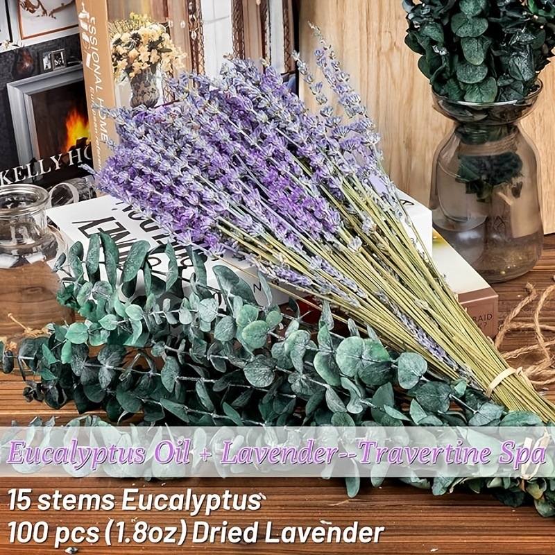 Buquê Seco de Lavanda e Eucali - Eucalyptus Preserved avaliação e preço