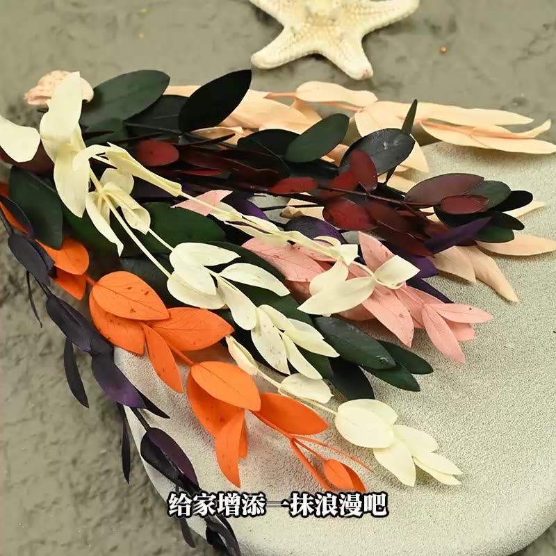 Flores secas preservadas para  - Eucalyptus Preserved avaliação e preço